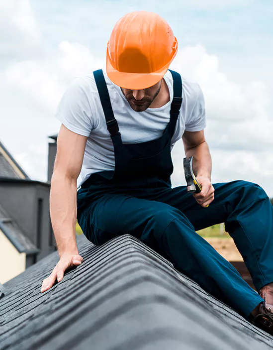 Roof maintenance