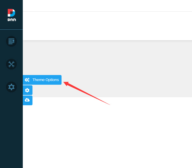 Theme Option button